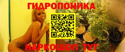 прущие крисы Нальчик