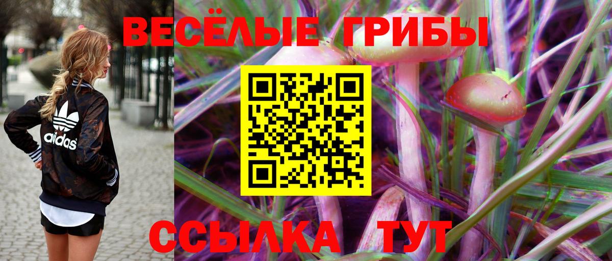 Алексин  Псилоцибиновые грибы MAGIC MUSHROOMS  Вход с VPN 